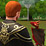 /content/global/images/store/dragonvalley/dv_web_screens/World_ScreenshotWeb_DragonValley019.jpg